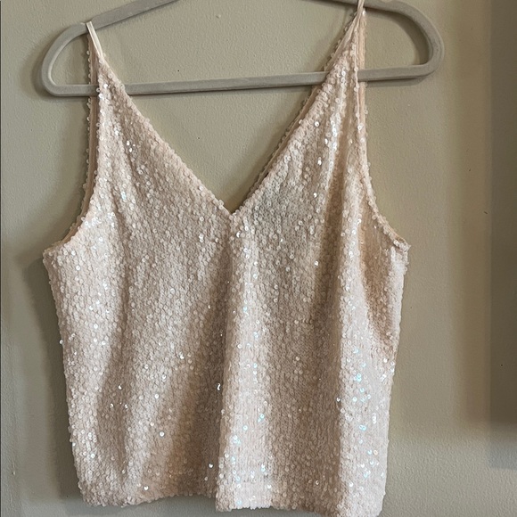 J. Crew Factory Cream Sequin Camisole - Picture 4 of 12